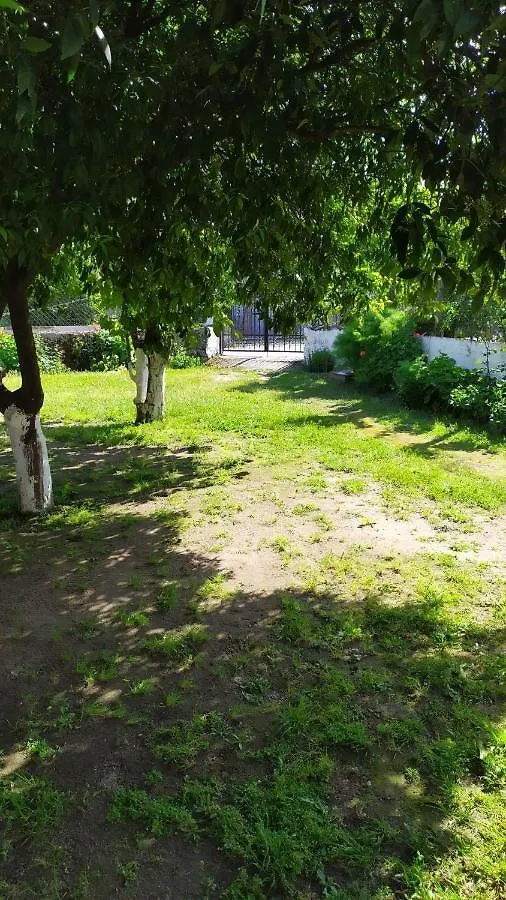 Διαμέρισμα Peter'S Traditional House Συκιά