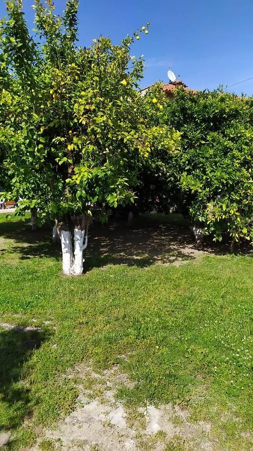 Διαμέρισμα Peter'S Traditional House Συκιά Ελλάδα