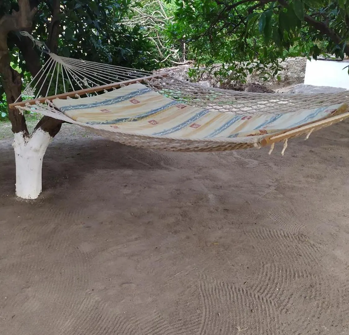 Peter'S Traditional House Συκιά